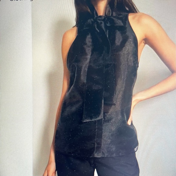 Babaton Black Sleeveless Tie-Neck Sheer Organza Button Down Shirt/Blouse US M - Picture 1 of 15
